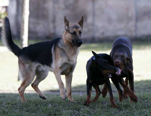 3