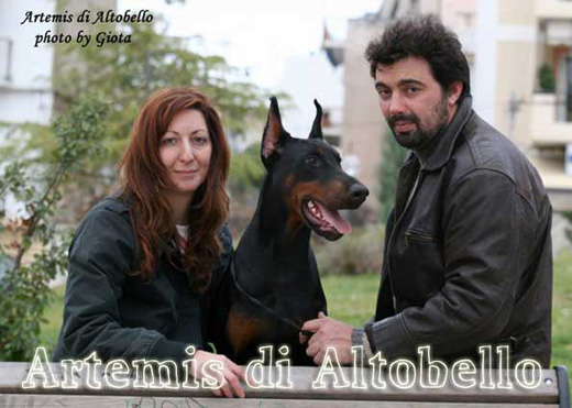 artemis-i-vlasnici
