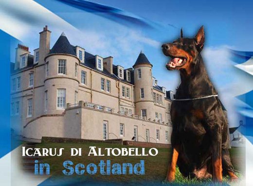 icarus-sco