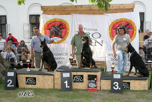 idc-2006-1