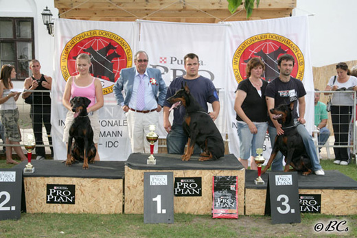 idc-2006-3