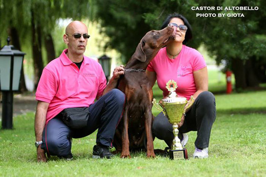 castor2