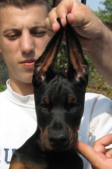 maleno3-head