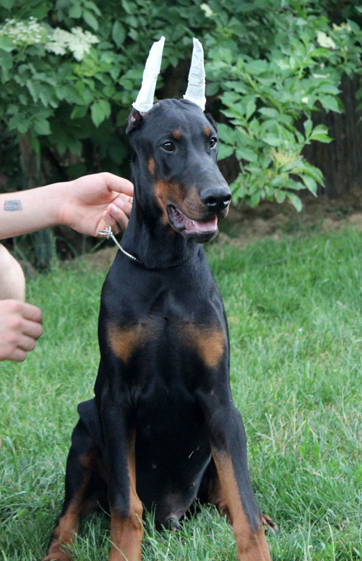 borntobemine4
