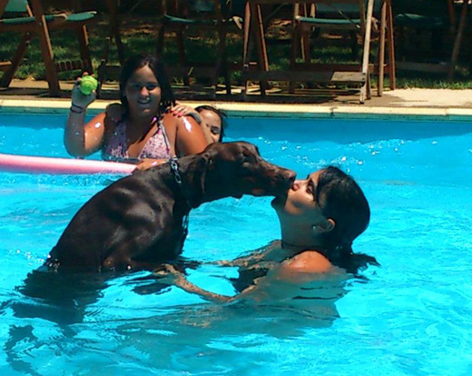 castor3