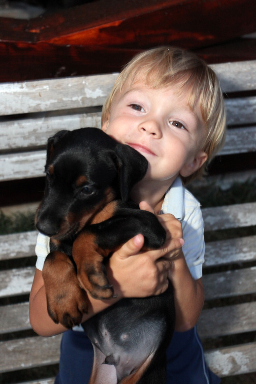 matteo-puppy001