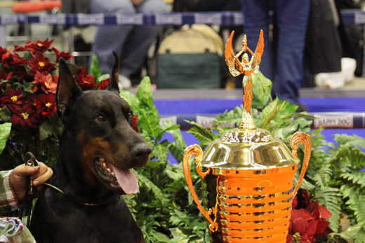 maxim-di-altobello-best-in-show1.
