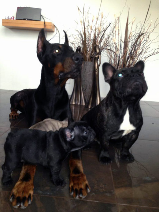 bfamily2
