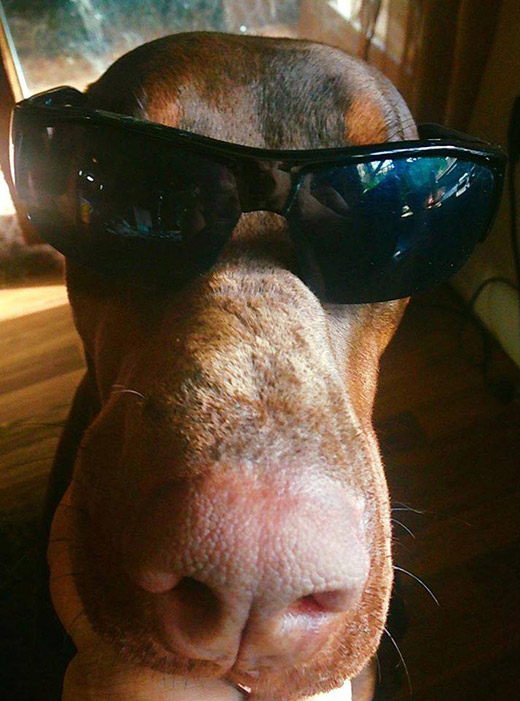 theboss