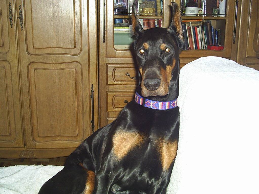 golda