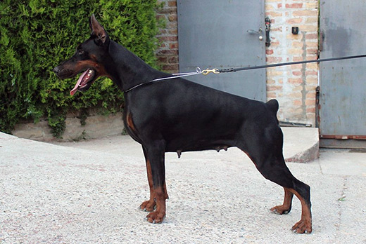 mnera