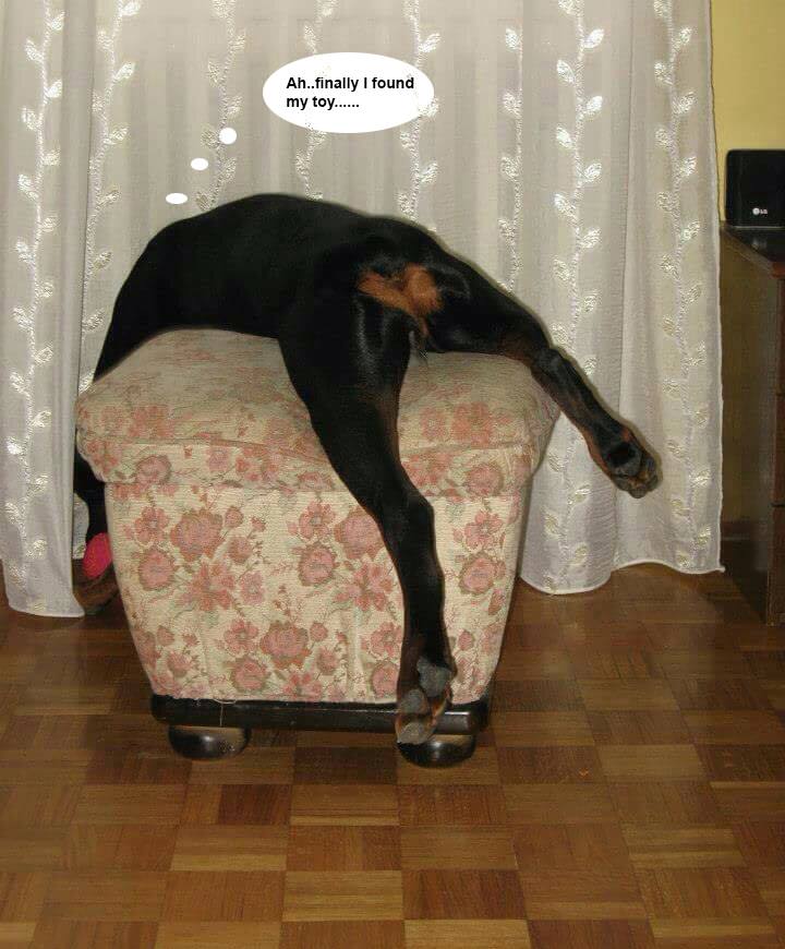 unavega2
