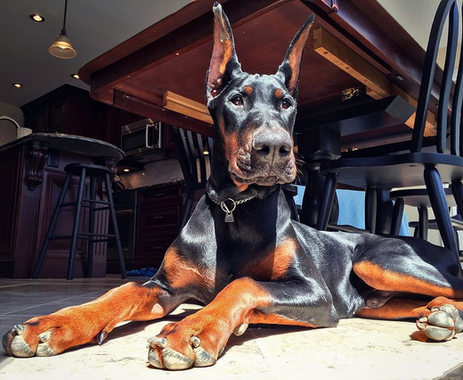 vader