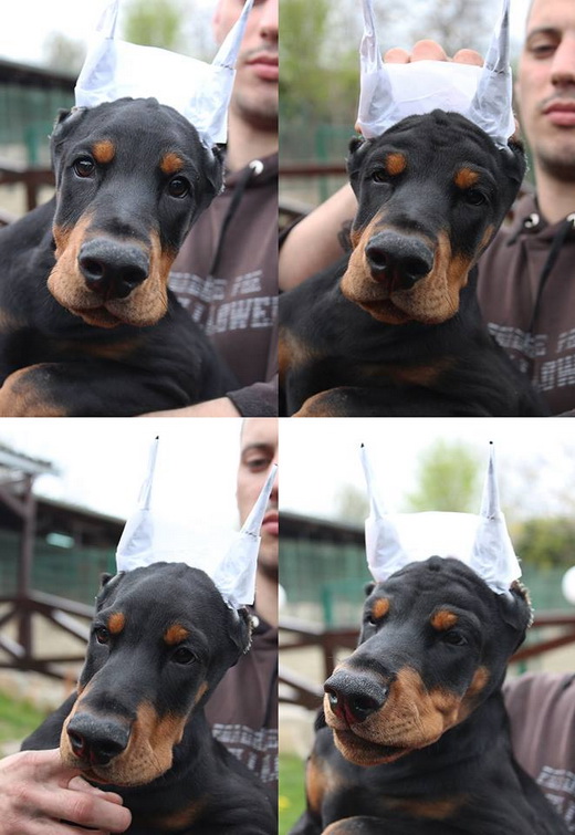 zeus
