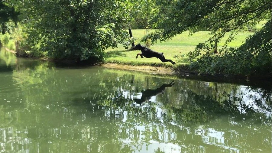 flying