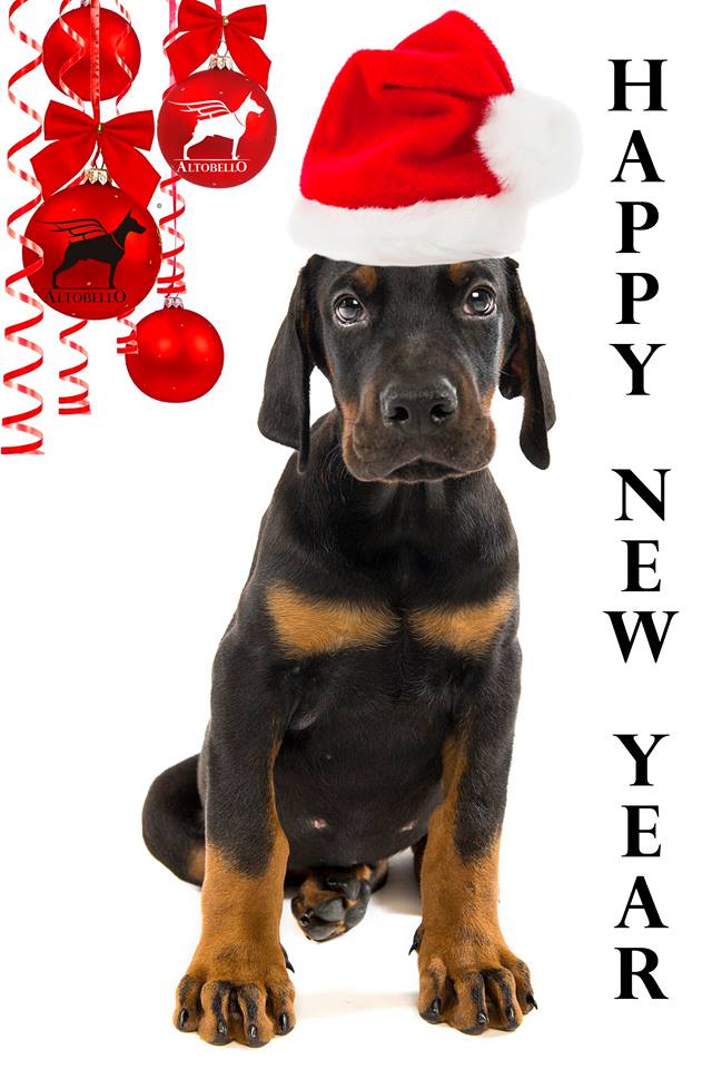 new year