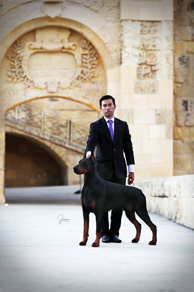 omar