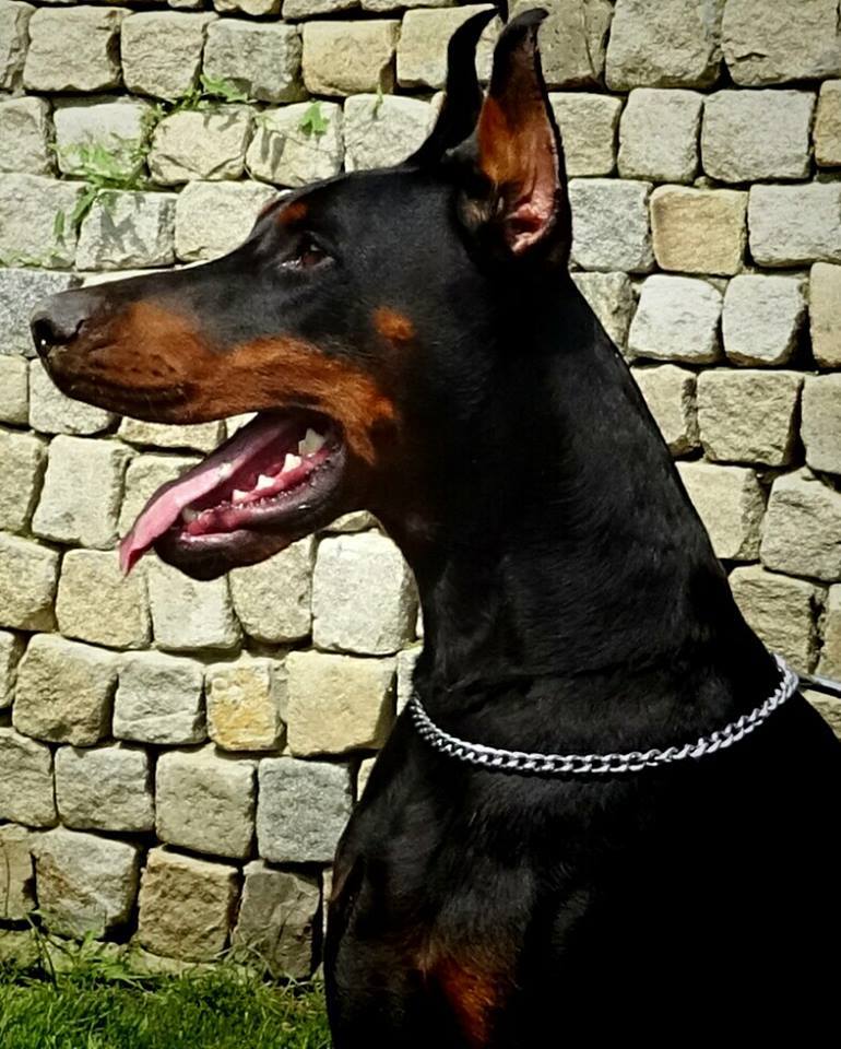 pablo