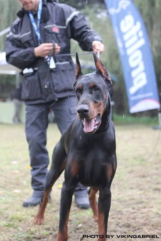 pasha2