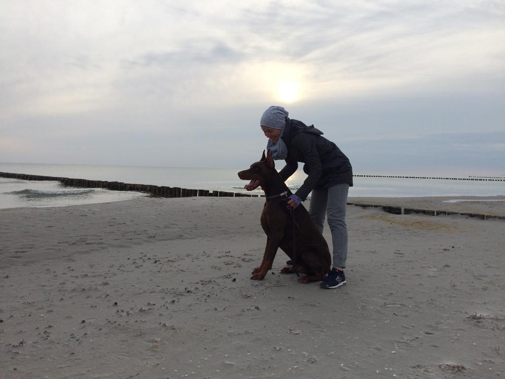 alf1