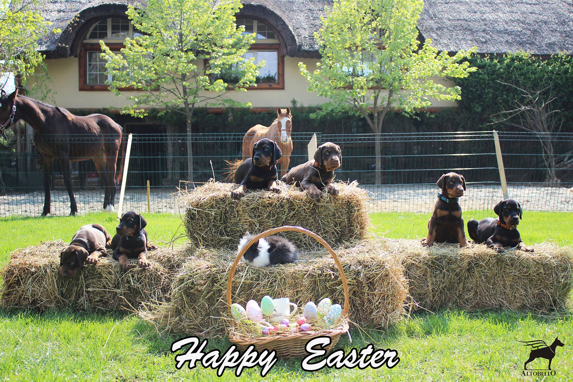 easter