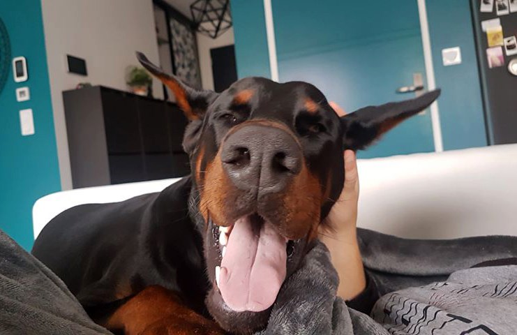 nhelios1