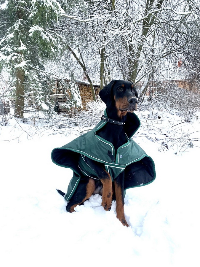 einar2