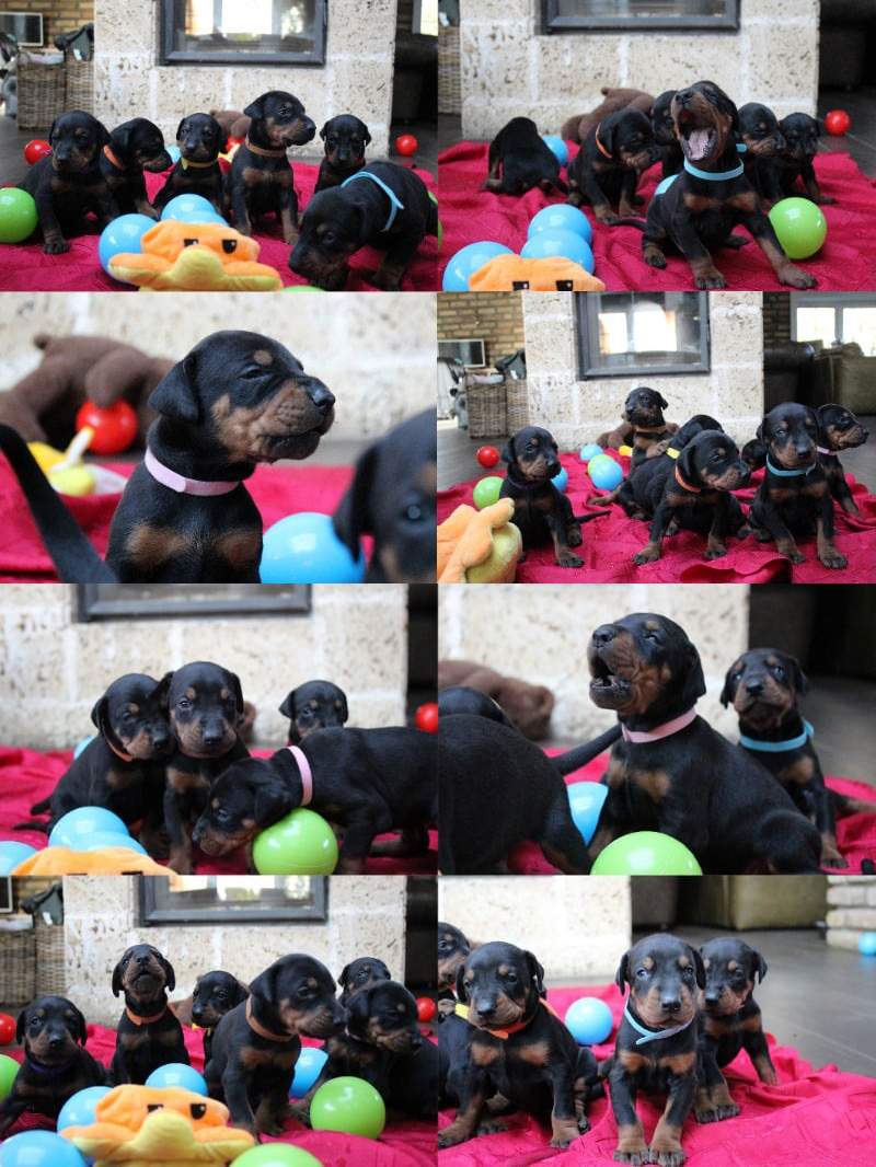 playtime