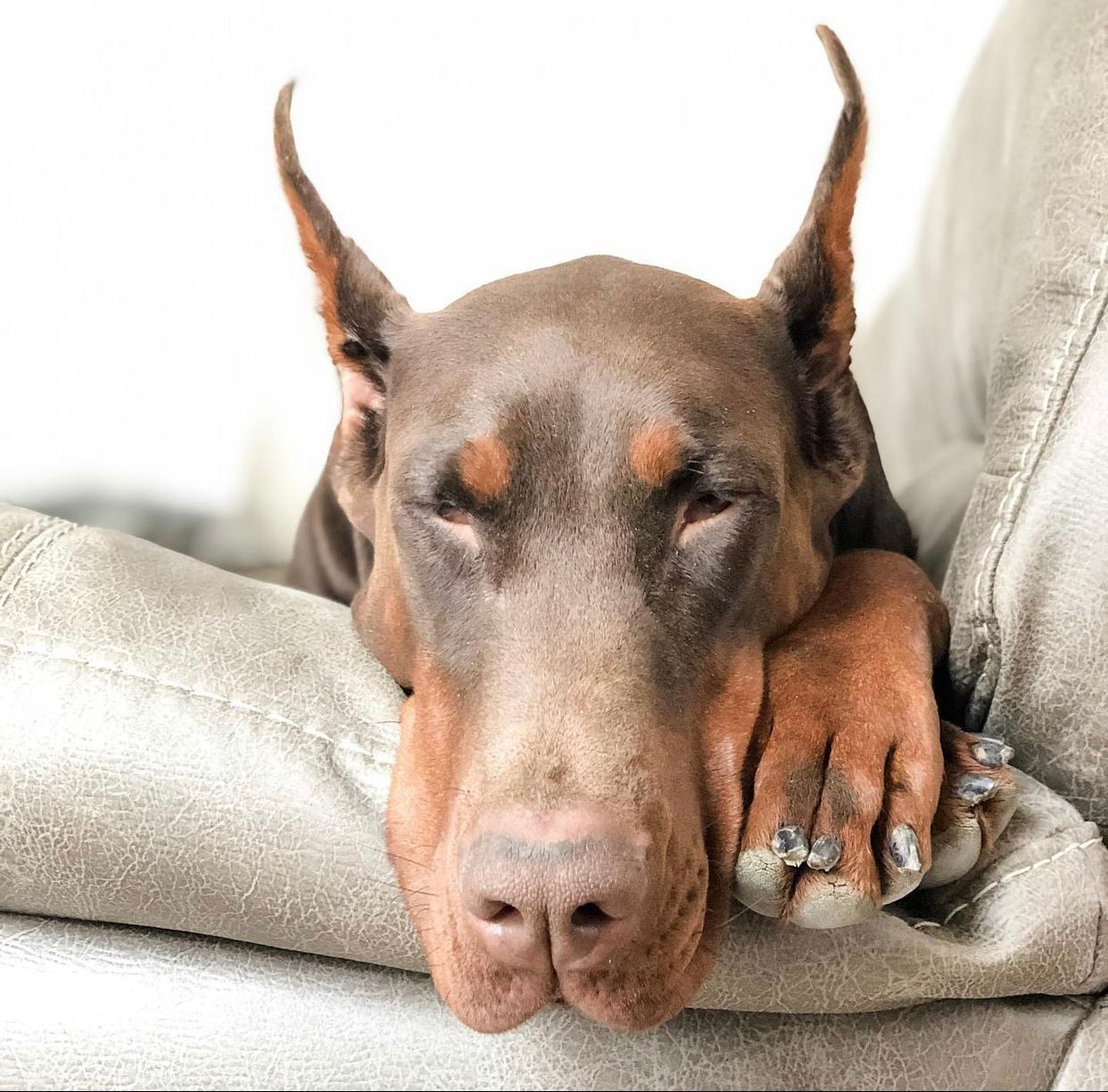 sleepyunissa