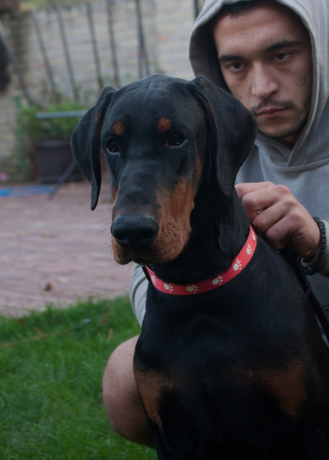 jaxim