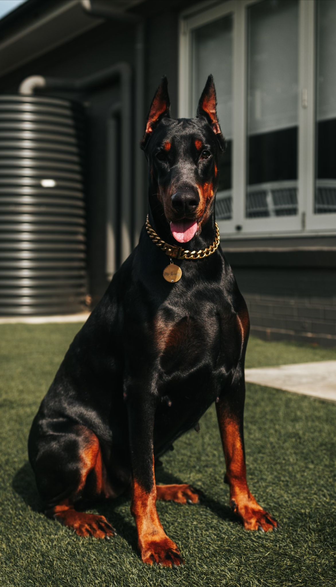 miss aus
