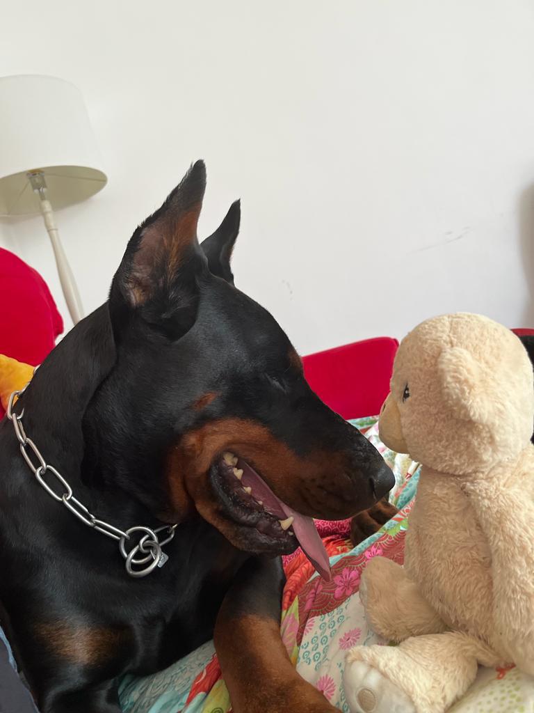 romeo1