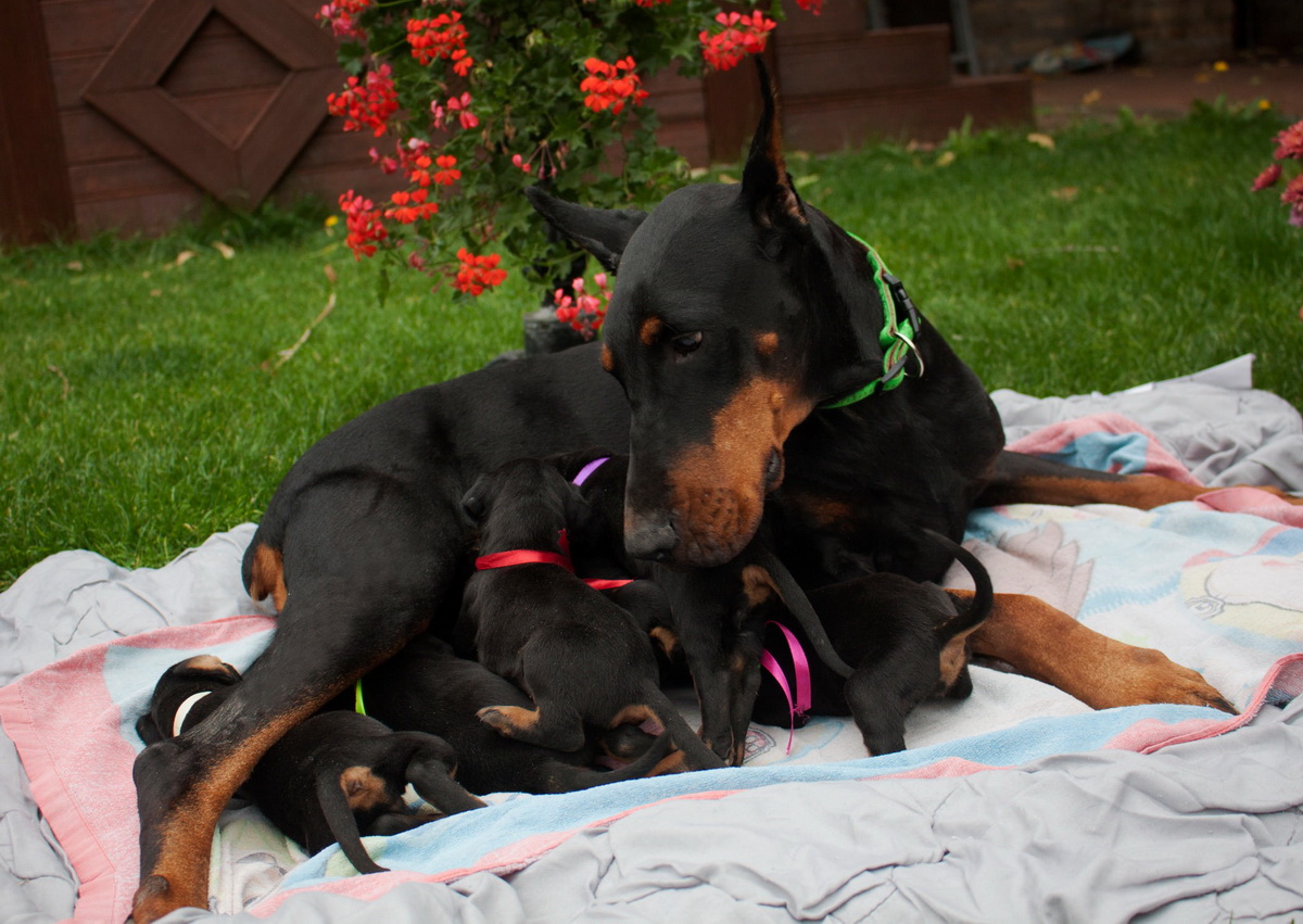 babies1