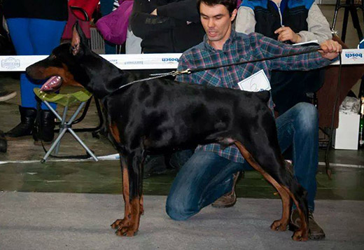 cesar-romano1