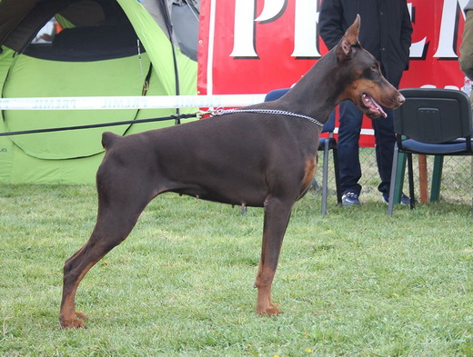 treca
