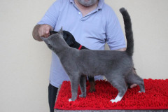 Posing with a cat cat